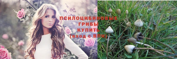синтетический гашиш Алексин