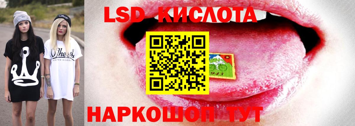 omg ССЫЛКА  Лсд 25 экстази ecstasy  Новозыбков  ЛСД экстази кислота 
