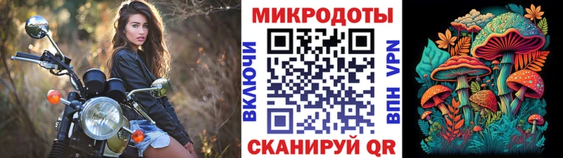 Псилоцибиновые грибы Magic Shrooms  Новозыбков 