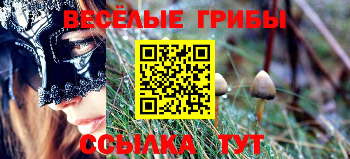 Псилоцибиновые грибы Cubensis  Новозыбков  Псилоцибиновые грибы Cubensis 