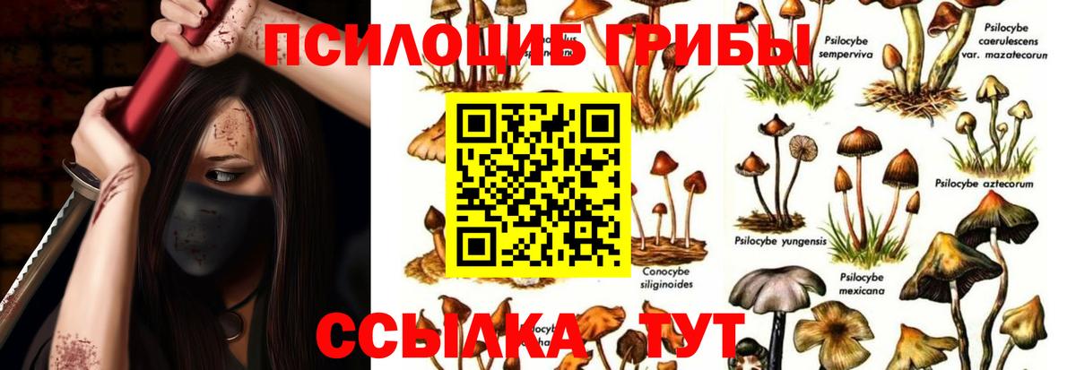 Псилоцибиновые грибы Magic Shrooms  Вход с VPN  Новозыбков 