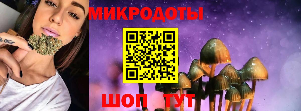 Галлюциногенные грибы Magic Shrooms Новозыбков