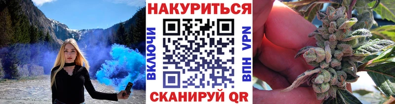 blacksprut маркетплейс  что такое наркотик  Новозыбков  Канабис планчик 